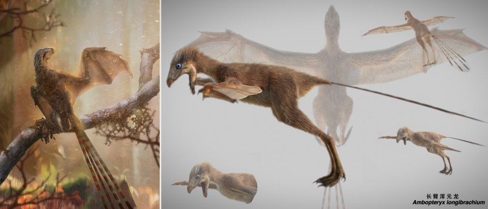  The new dinosaur was a species in between birds and bat like creatures