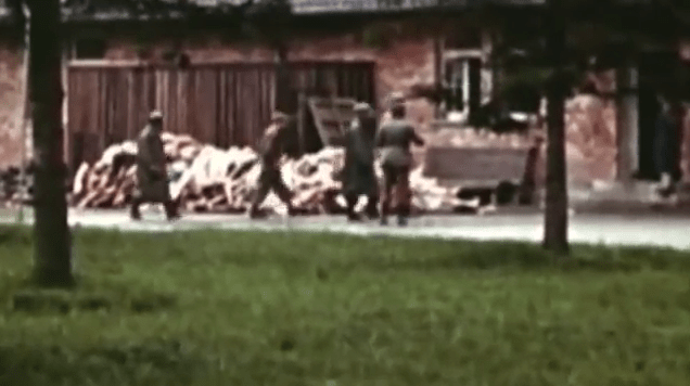  Large piles of dead bodies - victims from the torture of the camps - were filmed