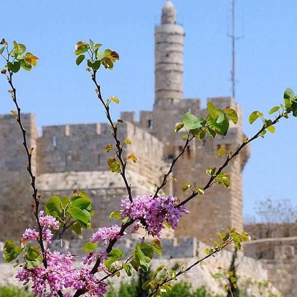  Archaeologists have recently found items more than 2,000 years old at the Tower of David