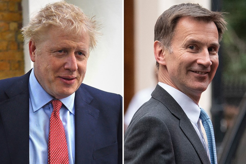  Johnson and Hunt are the last two candidates left in the Tory leadership race