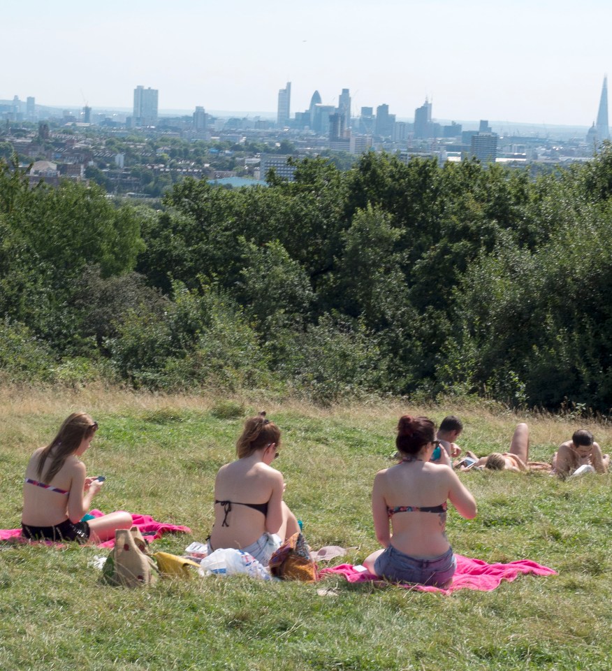  There is a private entrance leading onto Hamstead Heath with views over the capital