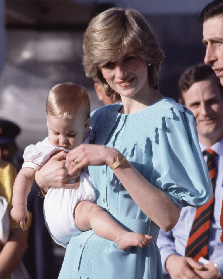  Diana took Prince William on tour when he was around nine months old