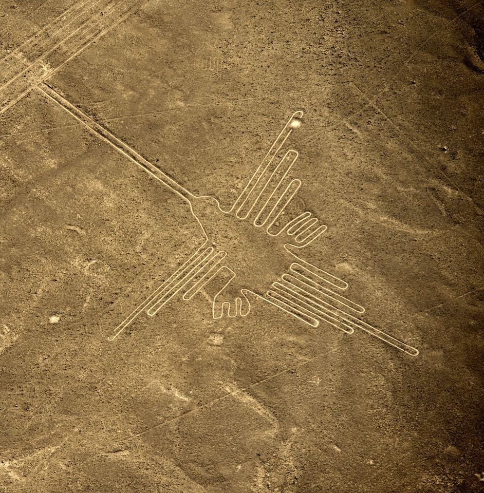  This Nazca Lines bird drawing was incorrectly labelled for decades