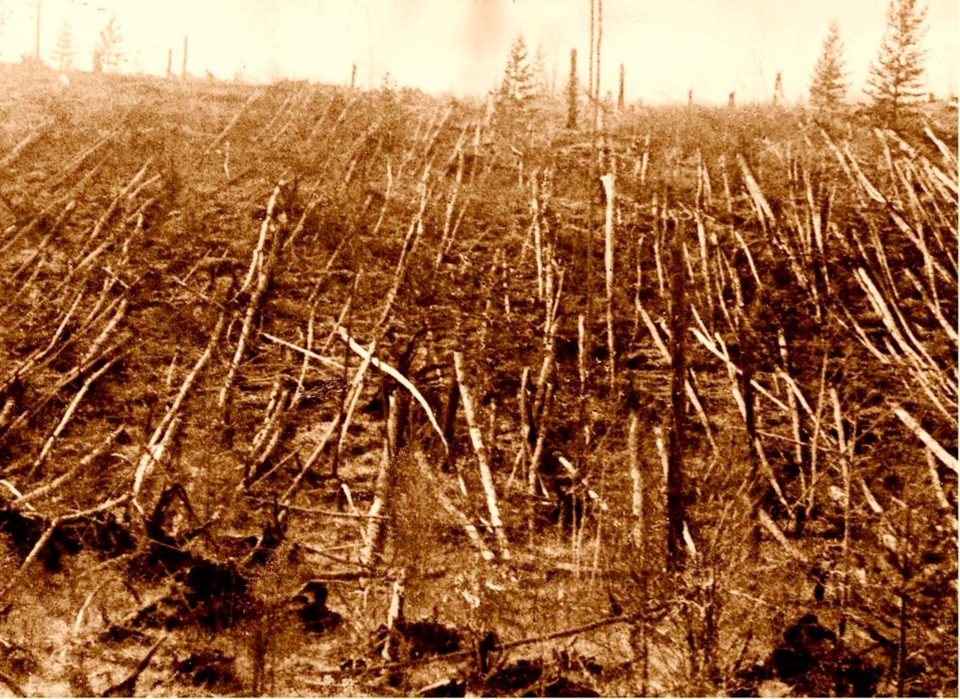  The Tunguska impact destroyed 2,000 square kilometres of forest in 1908