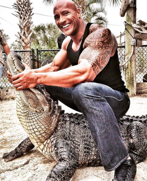  10. Hollywood star The Rock averages 1.2 million likes per post from his 145.7 million fans