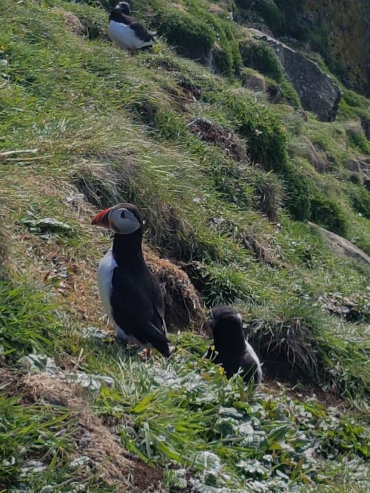  The Whale Trail is home to a huge variety of animals - perfect for nature lovers