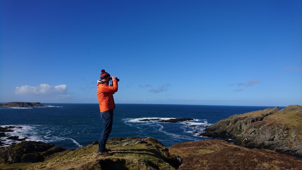  Keep your eyes peeled while on The Isle of Mull as you might be able to spot dolphins or porpoises