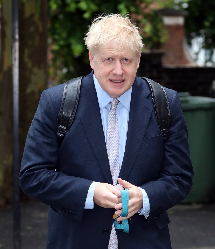  Boris Johnson has been working on his 'sensible' withdrawal agreement for months