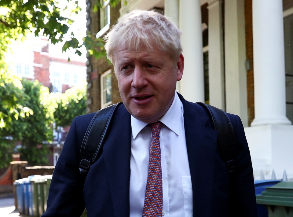  Former Foreign Secretary Boris Johnson's allies said the decision to haul him to court is 'nothing less than a politically motivated attempt to reverse Brexit'