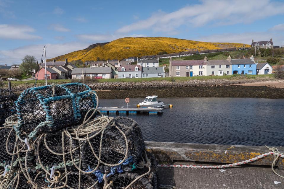  Mat now lives in the Scottish highlands