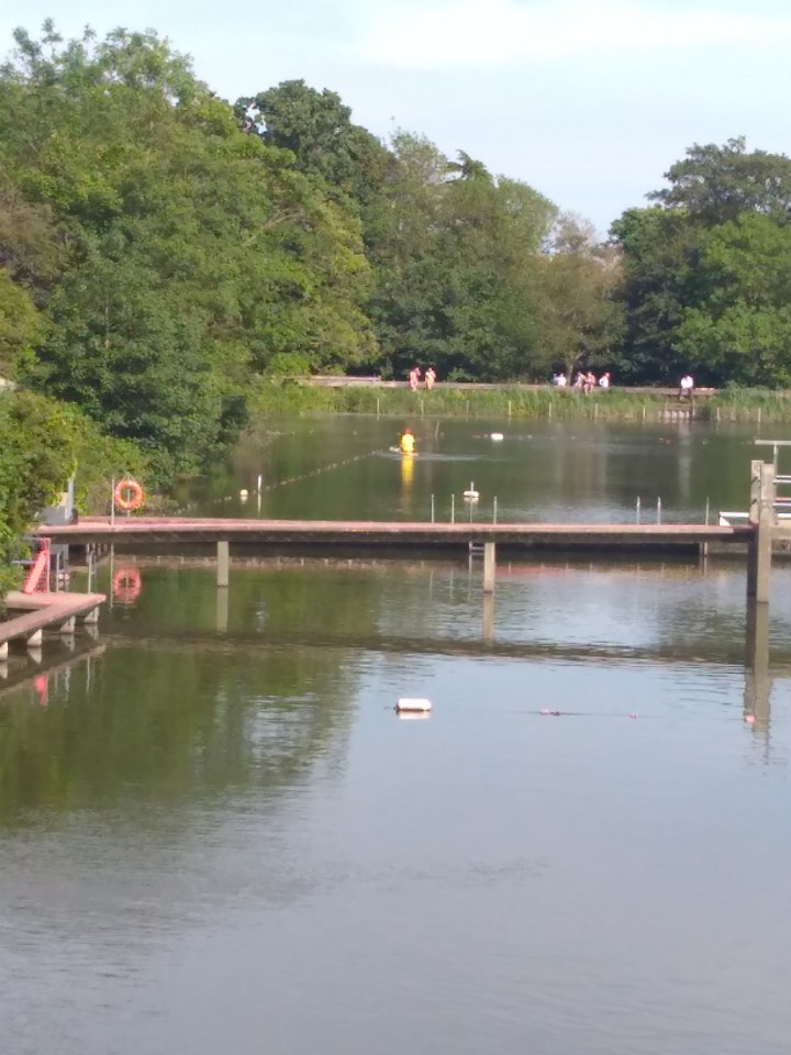  Highgate Men's pond after it was evacuated to allow for a search for the swimmer