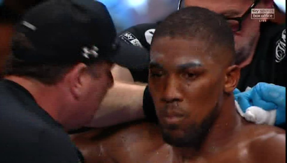  Anthony Joshua had to ask his corner man what round it was after being battered by Andy Ruiz Jr