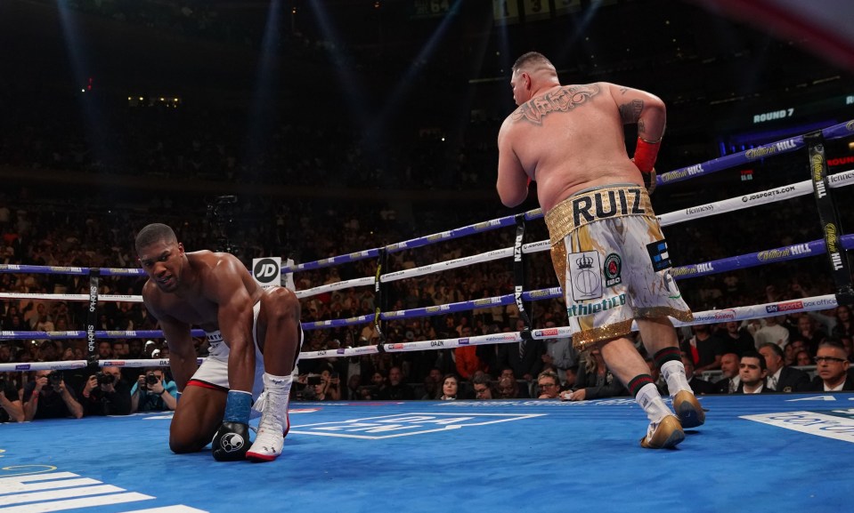 Anthony Joshua needs to take on ‘street fighters’ to get his revenge on Andy Ruiz Jr, claims David Haye