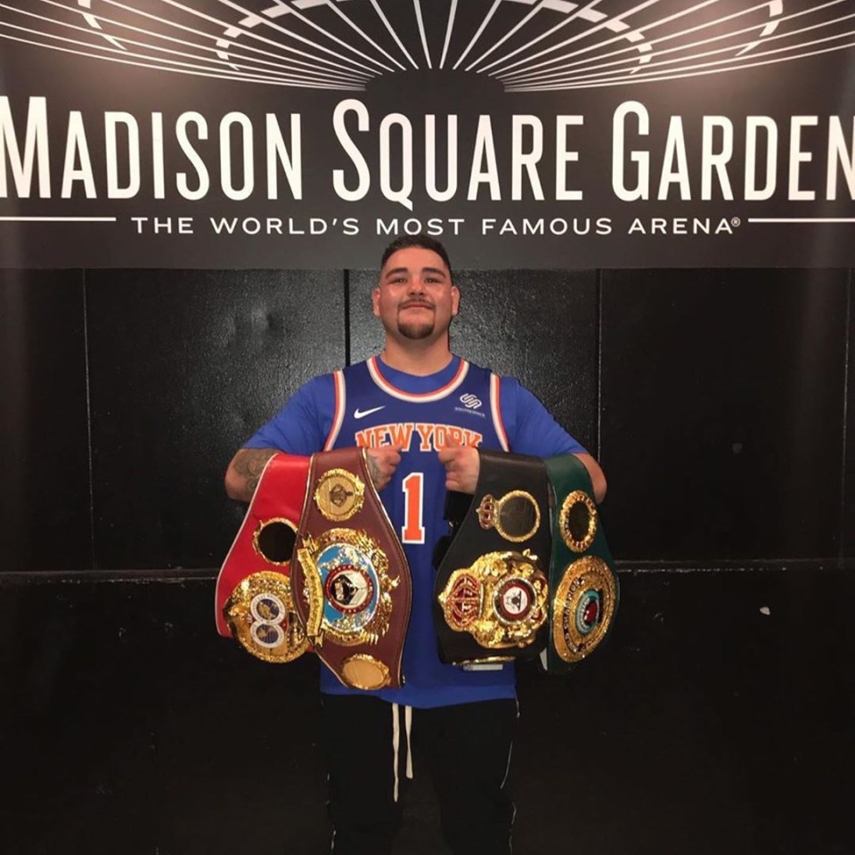 Andy Ruiz Jr is now the WBA, WBO, IBO and IBF heavyweight champ