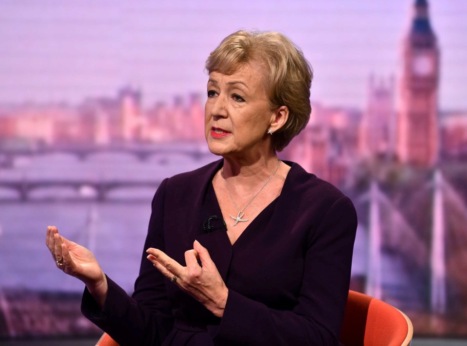 Ex-Commons Leader Andrea Leadsom said she doubted the plan would ever get through Parliament – given the Tories don’t have a majority