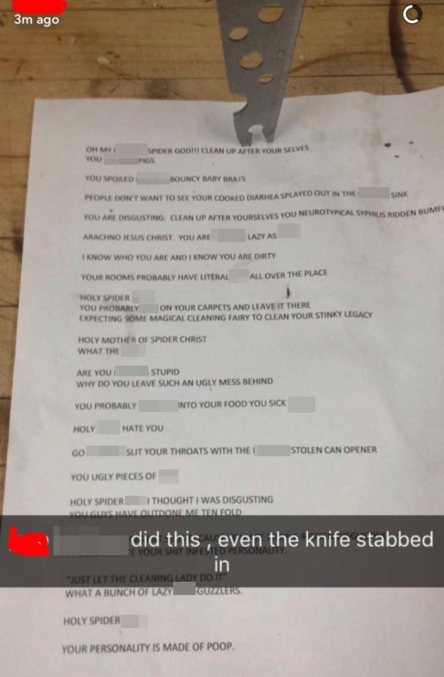  Taking a stab in the dark here, but this person appears fairly annoyed about a stolen can opener, their flatmate's mess, laziness, and leaving filth in the loo