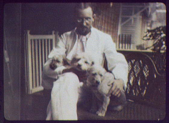  An Indian man pets three puppies