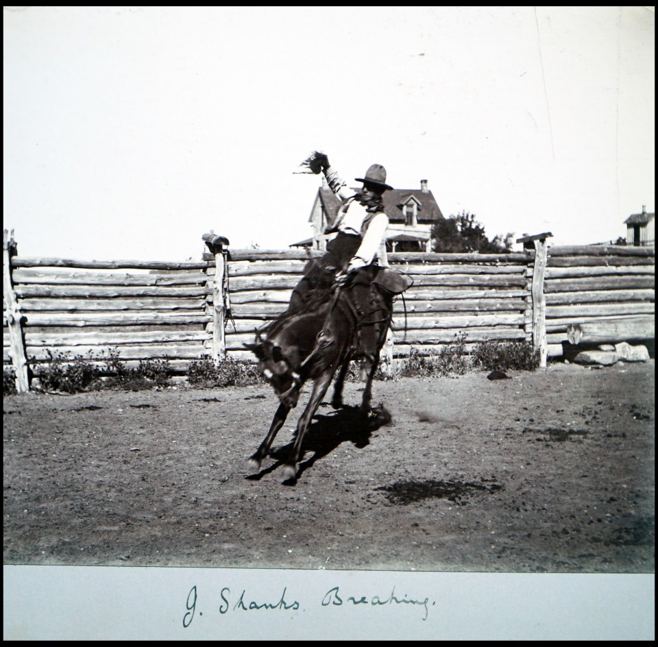  The incredible pictures were taken by a British-born farm worker in the 1880s