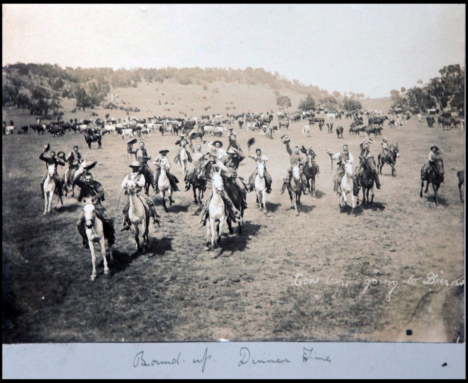  A group of cowboys race towards the camera in a stunning historical snap