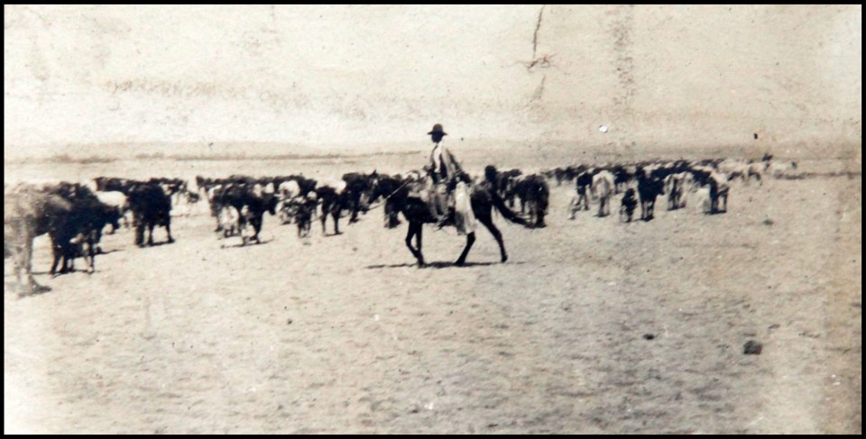  A cowboy on the range - the collection of pictures over a fascinating glimpse into life in the old west