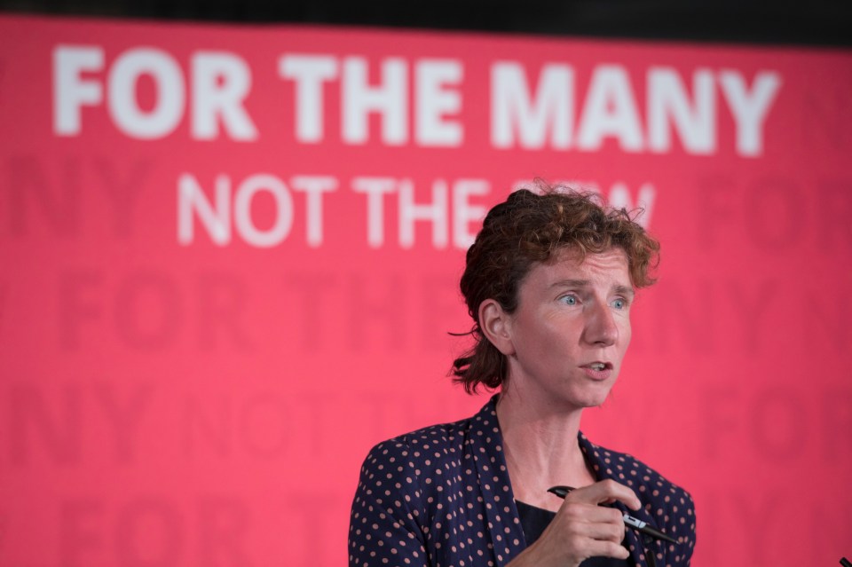  Annaliese Dodds was elected as the Labour MP for Oxford East in 2017