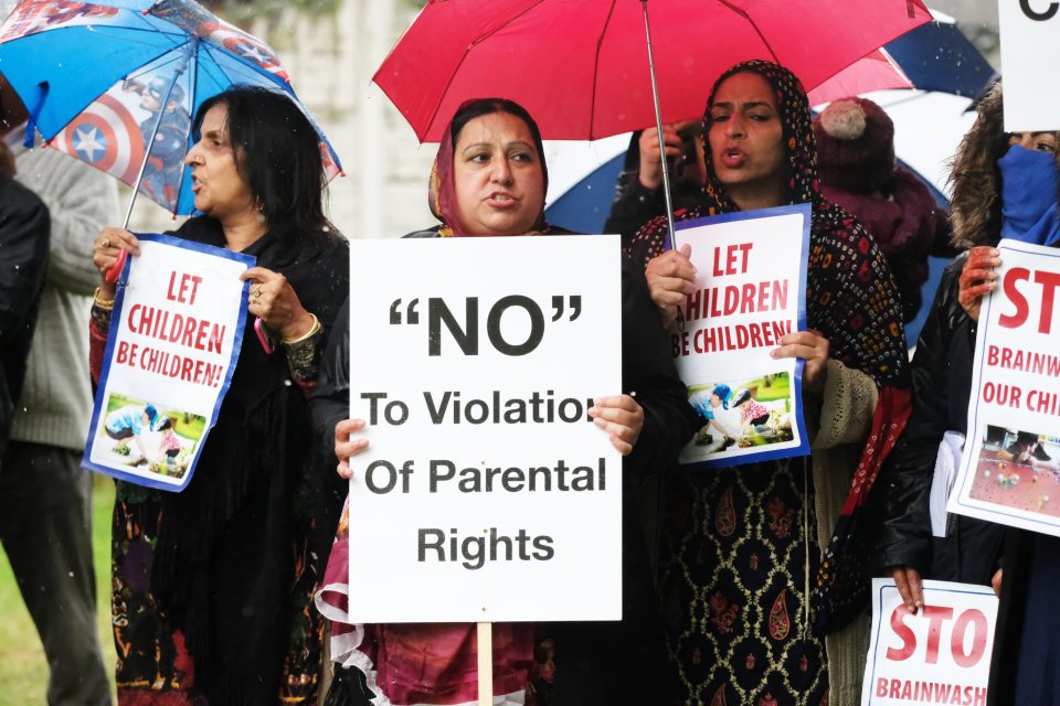  Protesters have repeatedly referenced the use of two books; one about two male penguins who raise an egg, and another about a boy who wears a dress