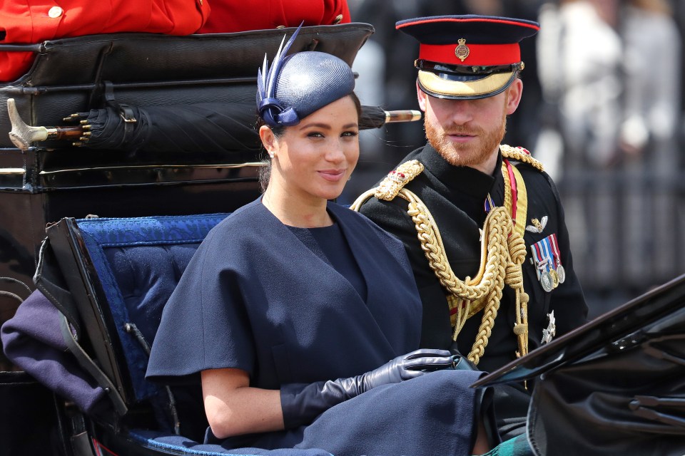  He criticised the fact that she then attended Trooping the Colour just days later