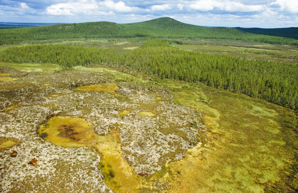  Evidence of the Tunguska Event can still be seen today