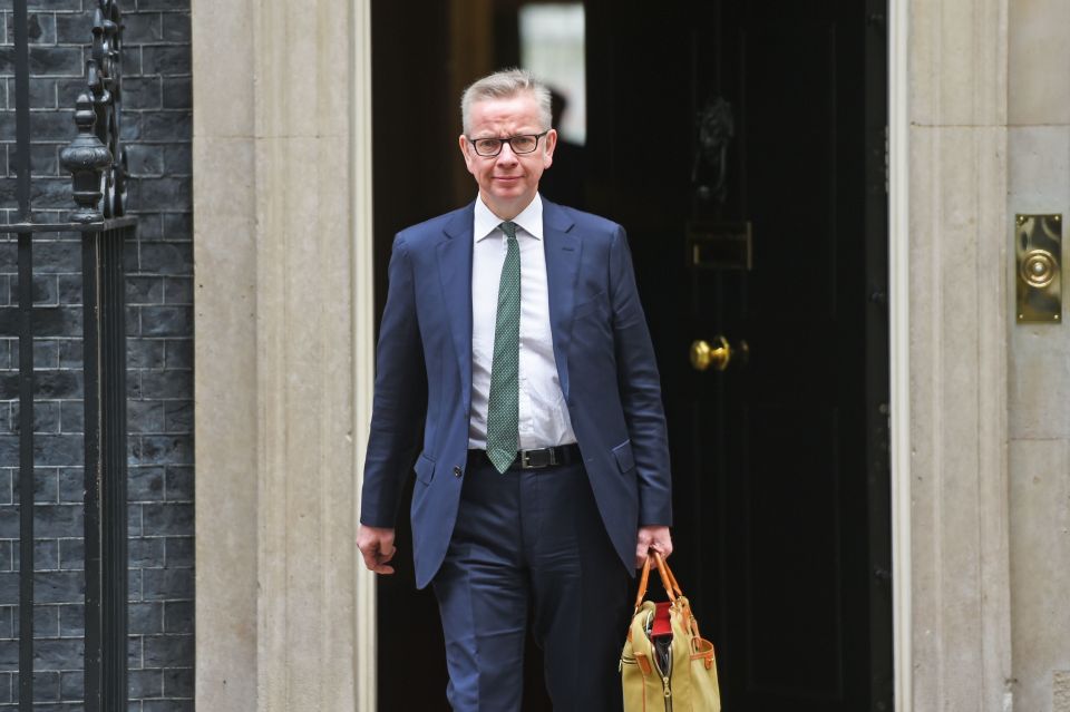  Michael Gove took on old foe Boris Johnson - and lost