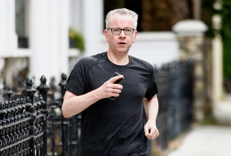 Michael Gove is battling to save his leadership hopes