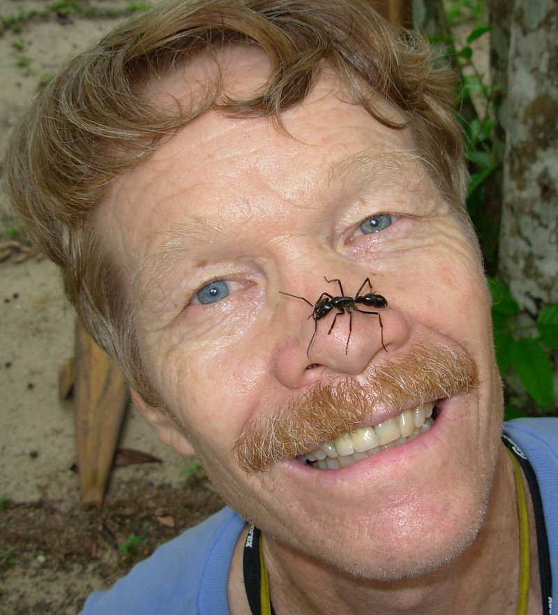  Justin O. Schmidt is an insect expert known for being the "King of Sting"