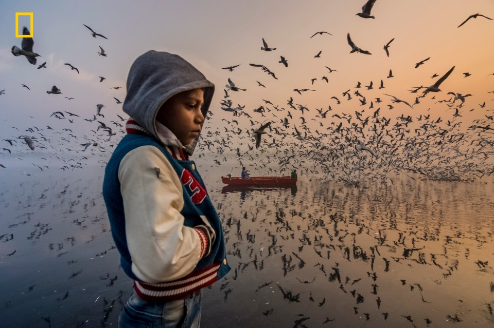  Navin Vatsa got an honourable mention in the people category for 'Mood'. He said: 'I captured this layered moment during sunrise along the banks of the Yamuna River in Delhi, India. This boy was thinking silently, and visitors were enjoying the loud musical chirping of thousands of seagulls. The early morning golden light from the east mixed with the western blue light'