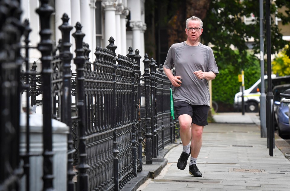  Michael Gove picked up 37 votes