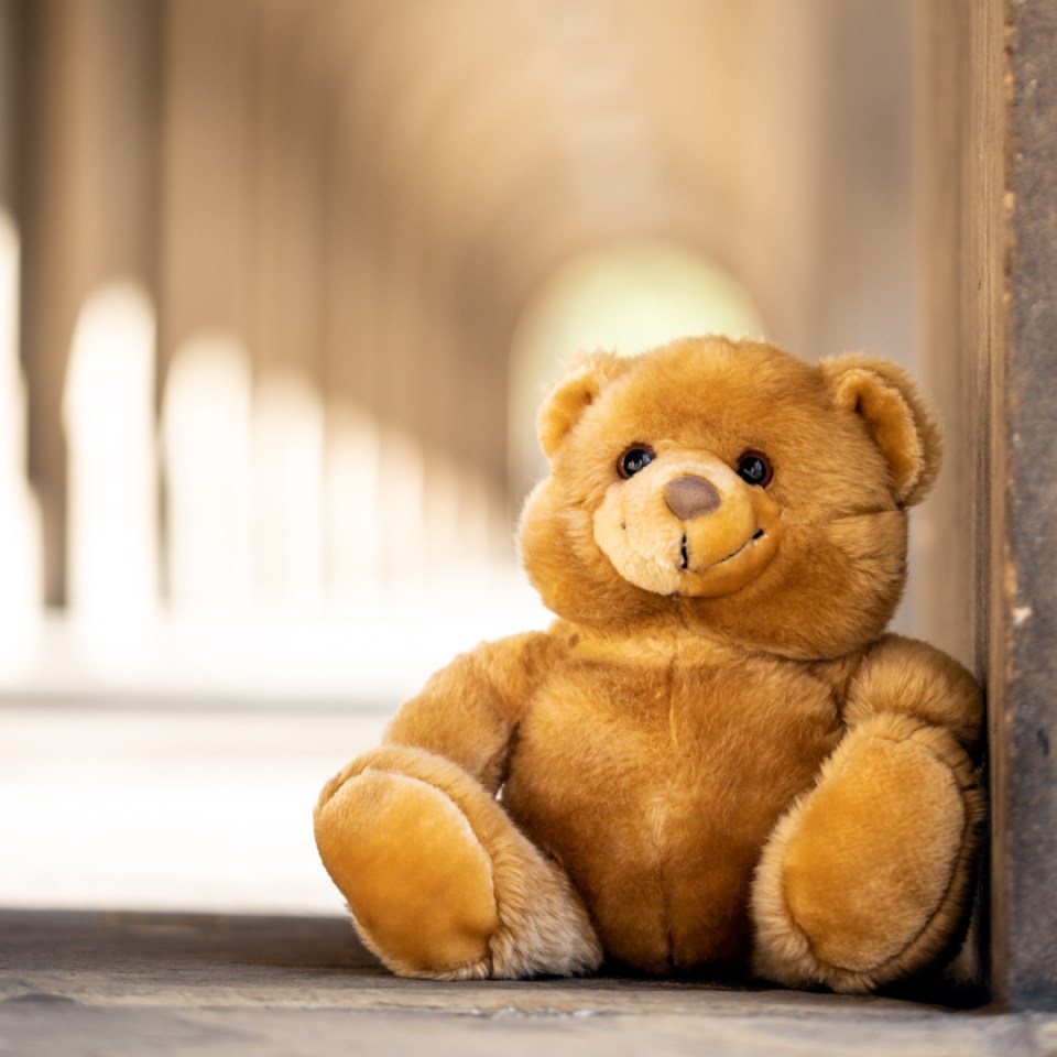  This happy bear is still smiling as he waits to be taken home