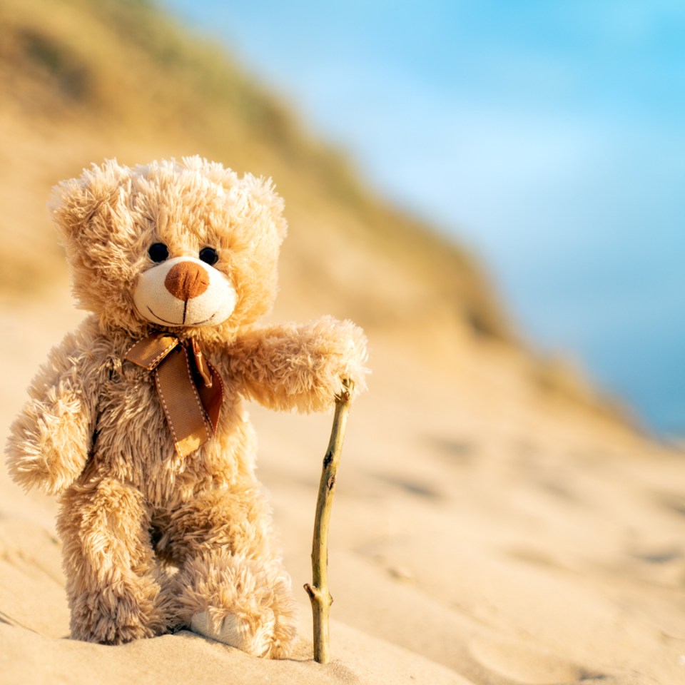  A hiking bear rests with his walking stick after another adventure