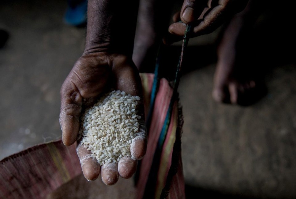 Workers have complained about contaminated food that “contains stones”