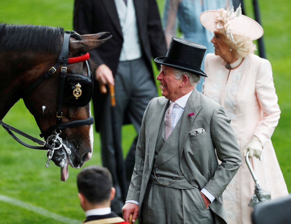 Prince Charles smiles as he meets one race horses