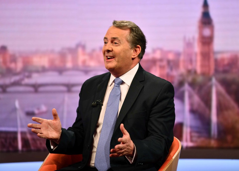  Liam Fox said it was distracting from the bigger issues