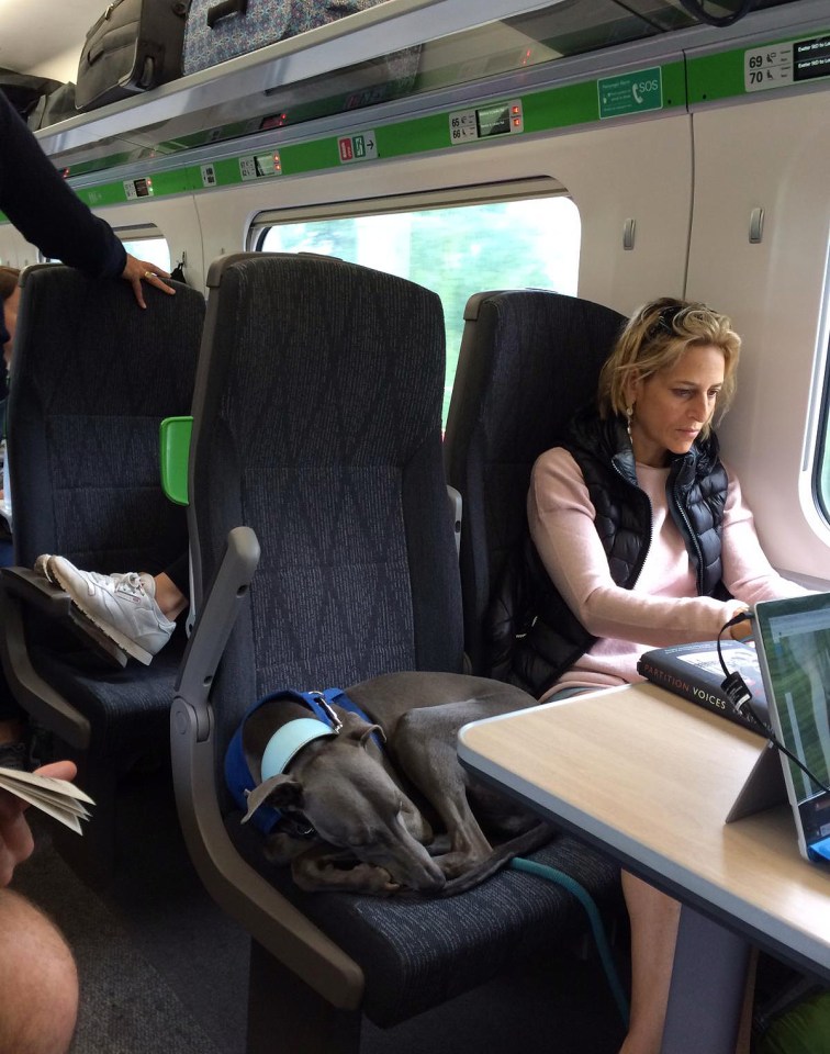  Emily Maitlis has been slammed for letting her dog sleep on a train