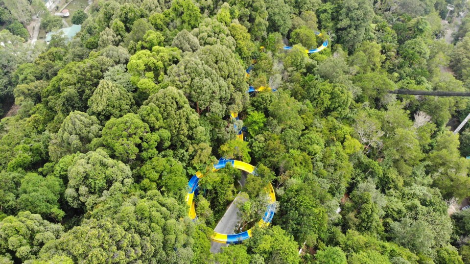  The slide weaves through the trees before landing in a swimming pool at the end