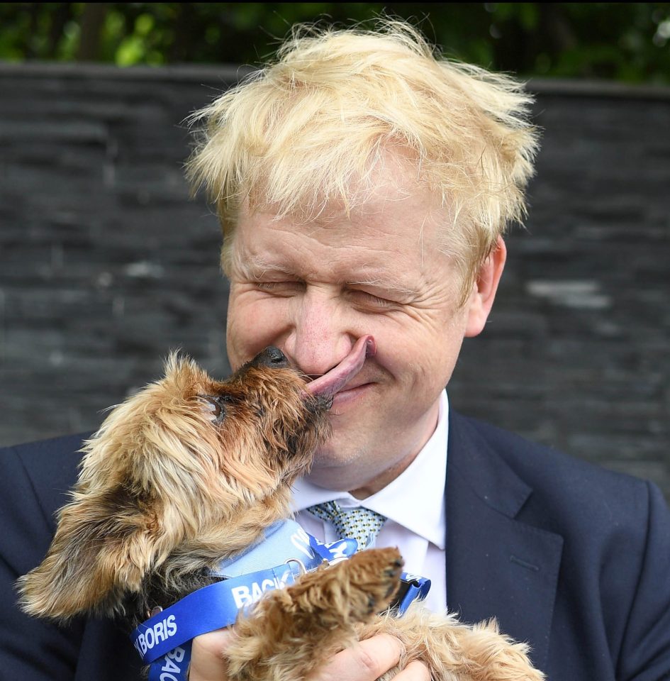  Lucky the dog appears to think the leadership frontrunner has the contest licked during a day that saw 'submarine' Boris surface in a flurry of campaigning