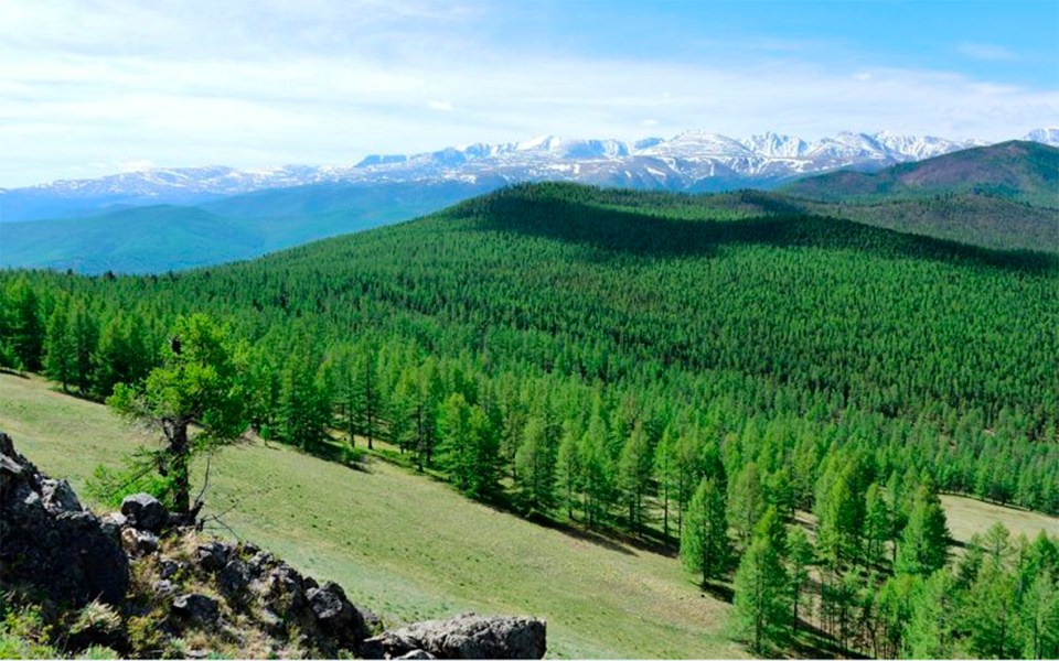  Hunting dogs were said to have found him in Russia’s remote Tuva region, pictured