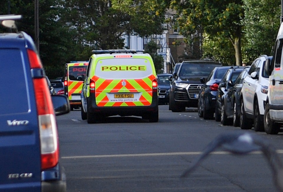 Police were scrambled to yet another stabbing on London's streets