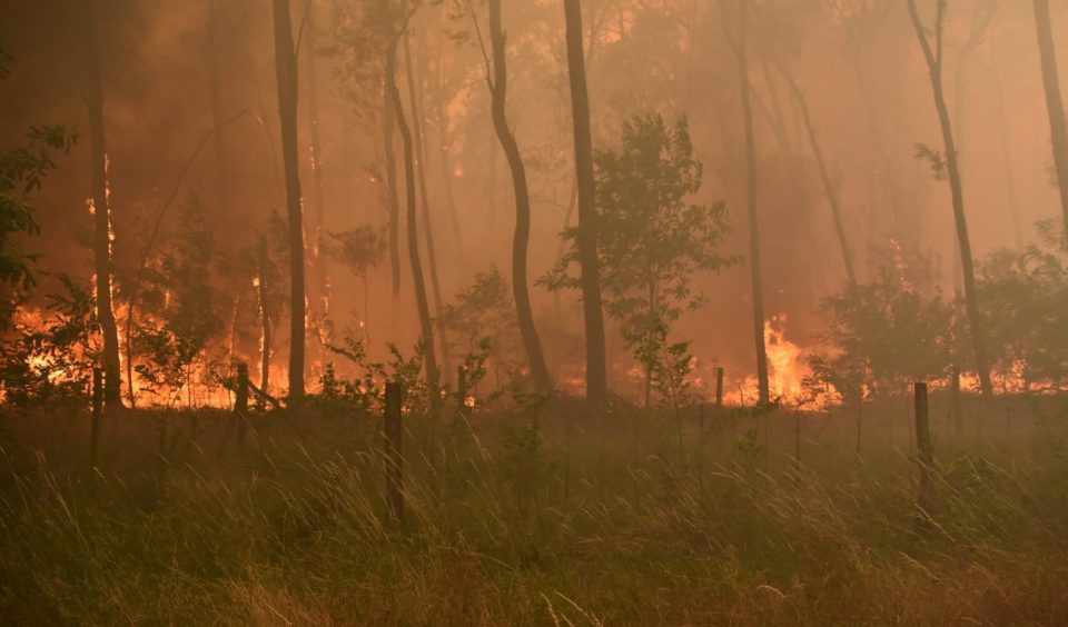  Wildfires in Brandenburg, Ziltendorf, Germany