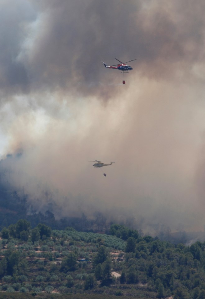  Wildfires have raged across Europe