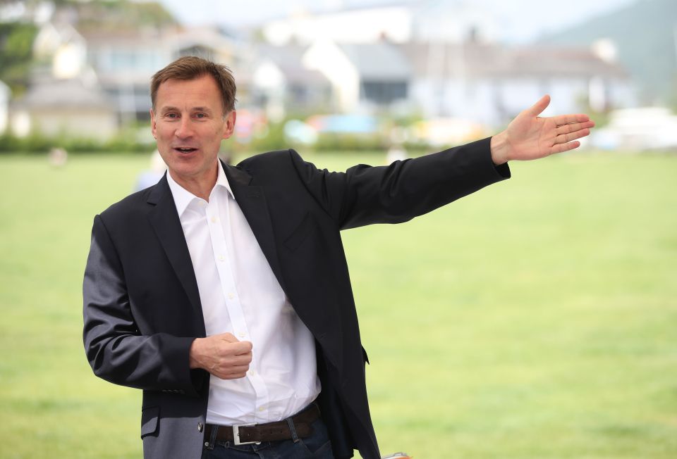  Jeremy Hunt is the outsider candidate in the race for No10