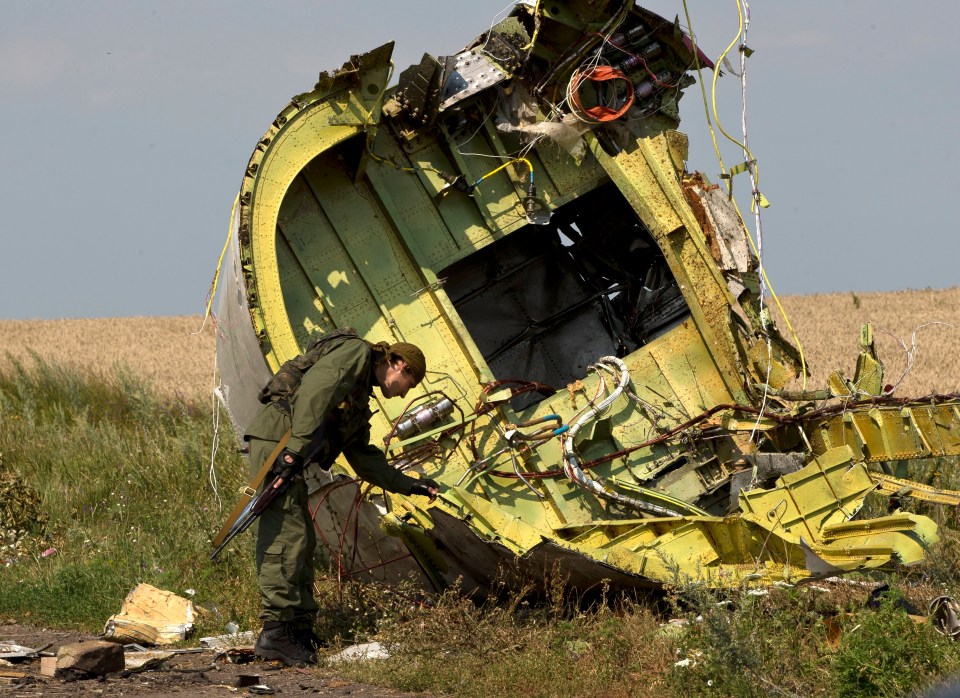  Soldier inspecting the damage of flight MH17