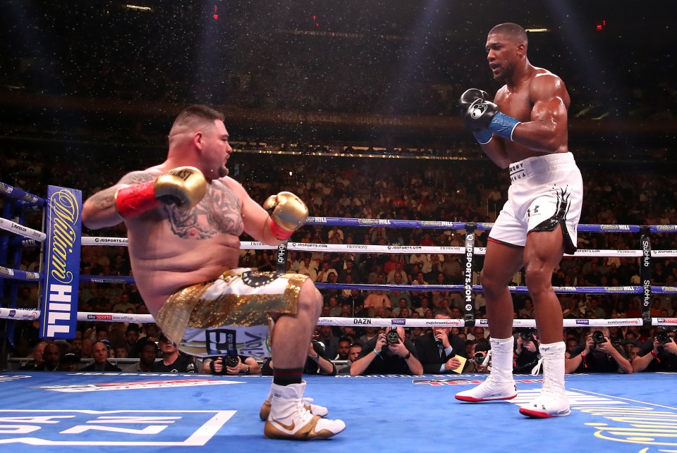  Andy Ruiz was felled in the third round of the explosive fight in New York