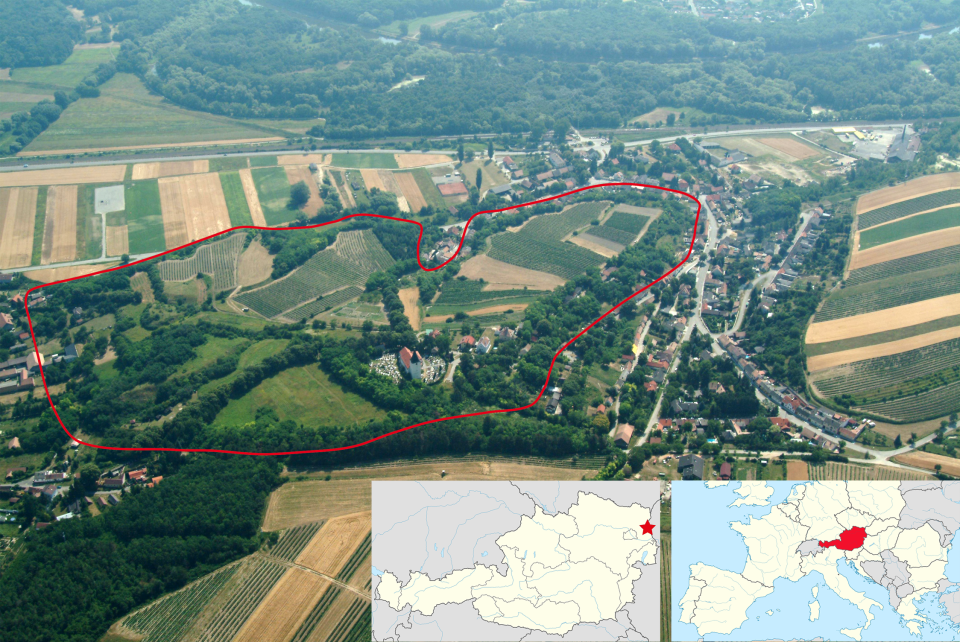  The ancient cereal was found at this Bronze Age hill fort site in Austria called Stillfried an der March