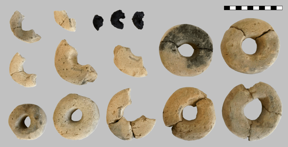  The burnt cereal rings can be seen here alongside clay shaped rings, which were buried nearby